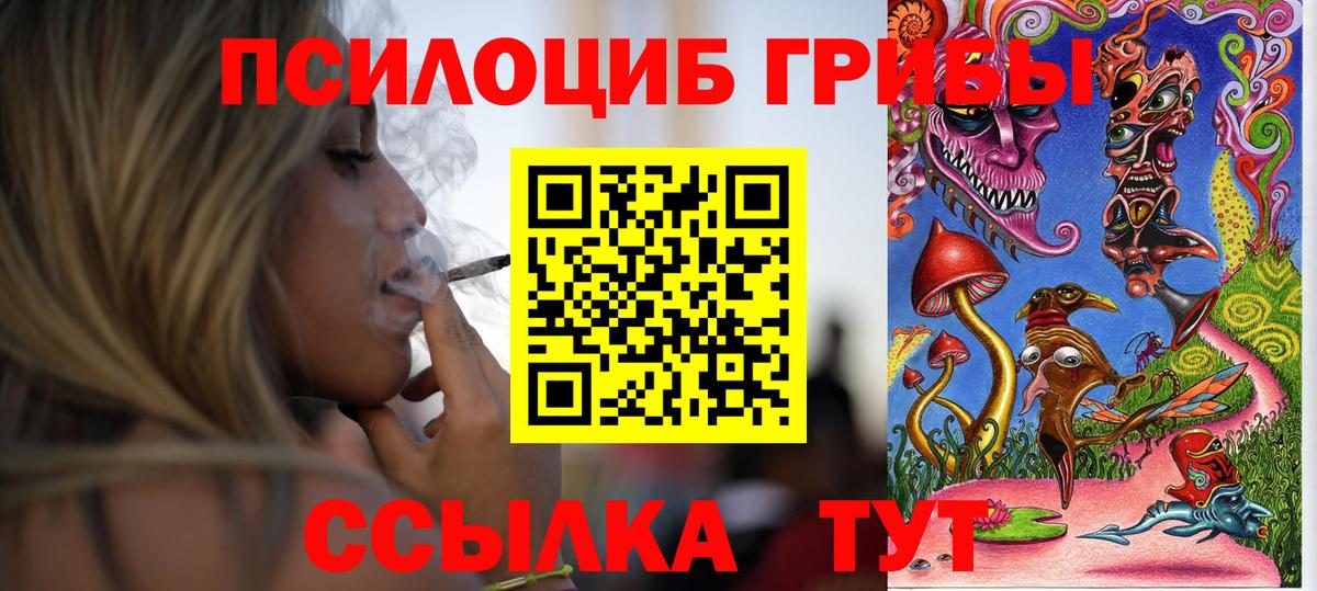 даркнет сайт  Дальнегорск  Галлюциногенные грибы GOLDEN TEACHER 
